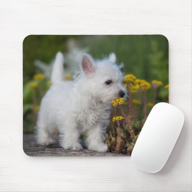 Niedliche Kleintiere | West Highland White Terrier Mousepad (Mit Mouse)