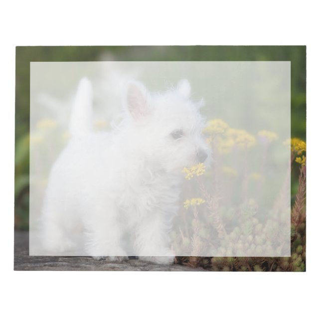 Niedliche Kleintiere | West Highland White Terrier Notizblock (Vorderseite)