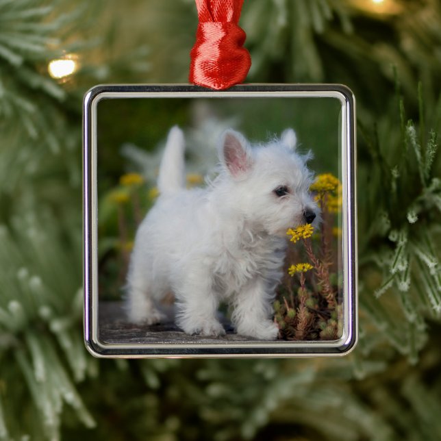 Niedliche Kleintiere | West Highland White Terrier Ornament Aus Metall (Baum)