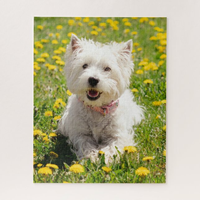 Niedliche Kleintiere | Westie Hund in Lüstern (Vertikal)