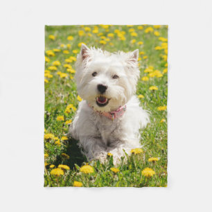 Niedliche Kleintiere Westie Hund in Lüstern Fleecedecke