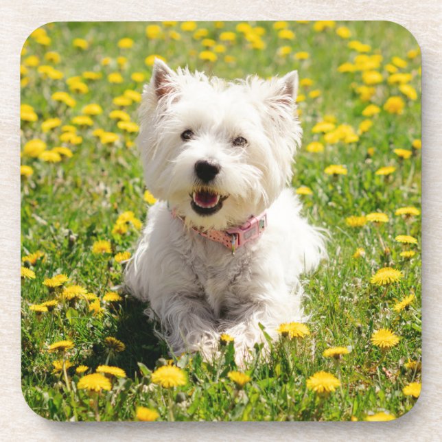 Niedliche Kleintiere | Westie Hund in Lüstern Getränkeuntersetzer (Vorderseite)