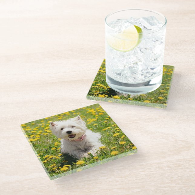 Niedliche Kleintiere | Westie Hund in Lüstern Glasuntersetzer (Schrägansicht)