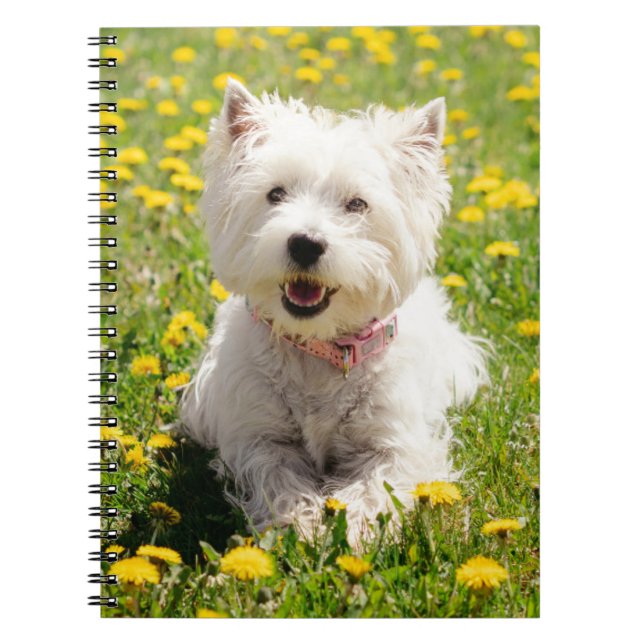 Niedliche Kleintiere | Westie Hund in Lüstern Notizblock (Vorderseite)