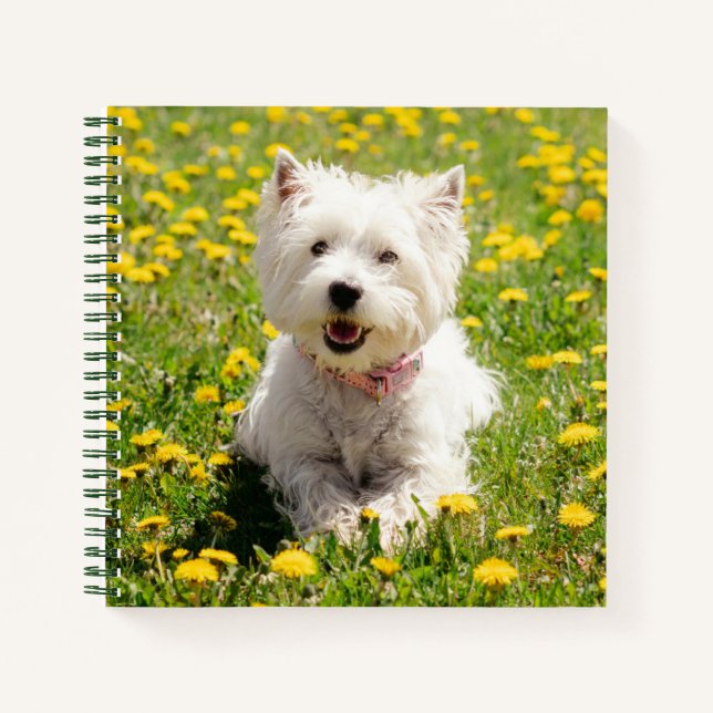 Niedliche Kleintiere | Westie Hund in Lüstern Notizbuch (Vorderseite)