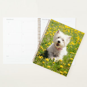 Niedliche Kleintiere   Westie Hund in Lüstern Planer