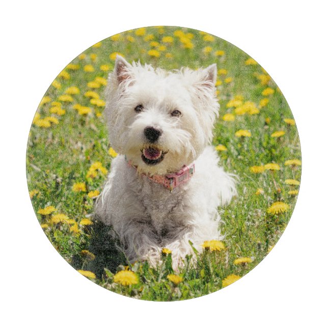 Niedliche Kleintiere | Westie Hund in Lüstern Schneidebrett (Vorderseite)