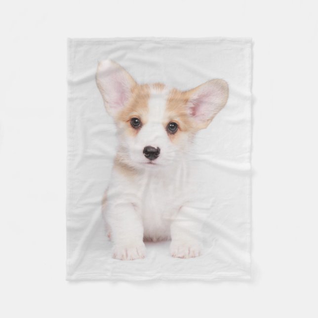 Niedliche Kleintiere | White Corgi Puppy Fleecedecke (Vorderseite)