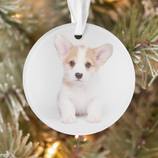 Niedliche Kleintiere | White Corgi Puppy Ornament (Baum)