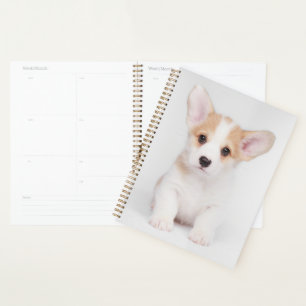 Niedliche Kleintiere White Corgi Puppy Planer