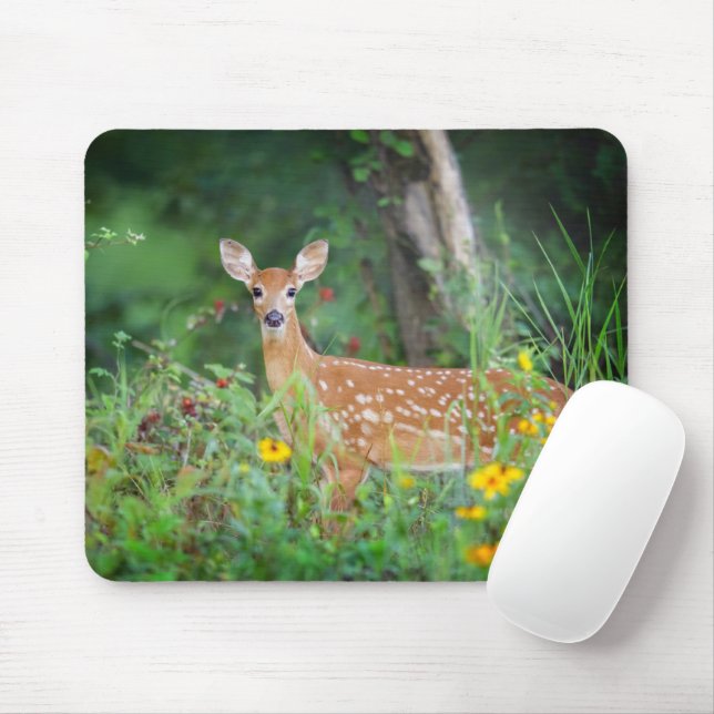 Niedliche Kleintiere | White Tails Deer in Daisies Mousepad (Mit Mouse)