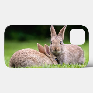 Niedliche Kleintiere Wilde Bunny Rabbits Case-Mate iPhone Hülle