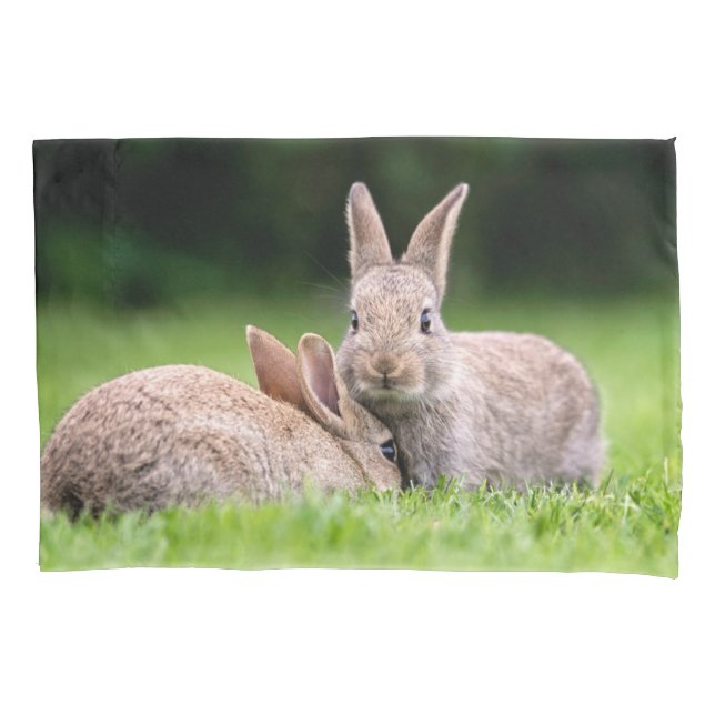 Niedliche Kleintiere | Wilde Bunny Rabbits Kissenbezug (Vorderseite)