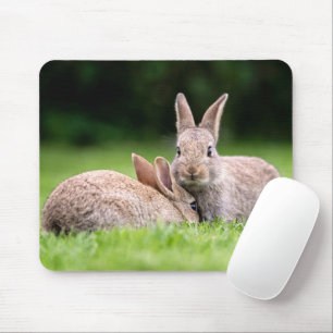 Niedliche Kleintiere Wilde Bunny Rabbits Mousepad