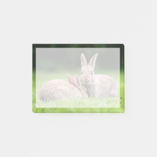 Niedliche Kleintiere Wilde Bunny Rabbits Post-it Klebezettel