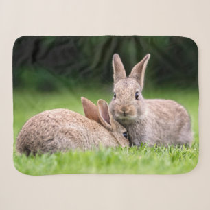 Niedliche Kleintiere   Wilde Bunny Rabbits Sherpadecke