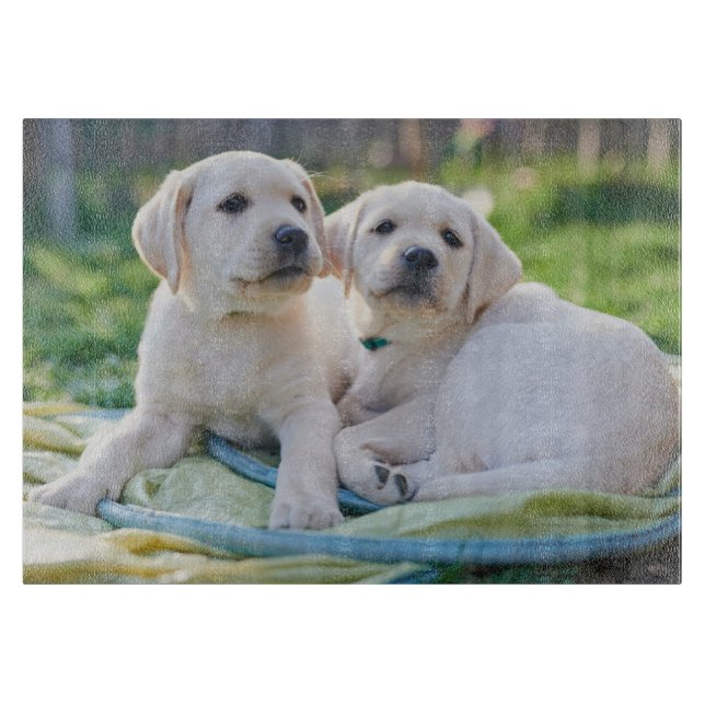 Niedliche Kleintiere | Yellow Labrador Retrievers Schneidebrett (Vorderseite)