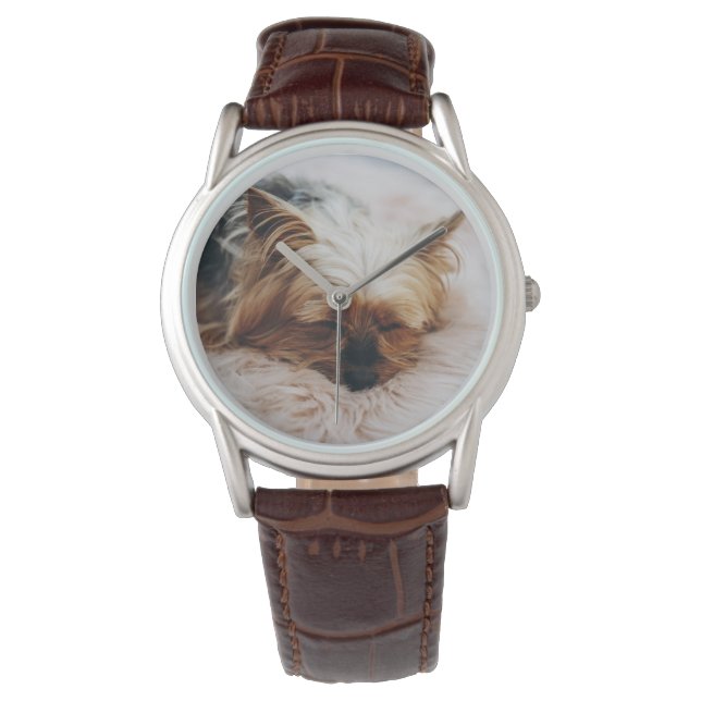 Niedliche Kleintiere | Yorkshire Terrier Armbanduhr (Vorderseite)