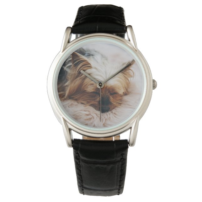 Niedliche Kleintiere | Yorkshire Terrier Armbanduhr (Vorderseite)