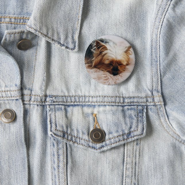 Niedliche Kleintiere | Yorkshire Terrier Button (Beispiel)