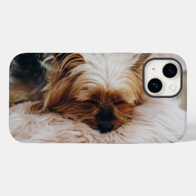 Niedliche Kleintiere | Yorkshire Terrier Case-Mate iPhone 14 Hülle (Rückseite (Horizontal))