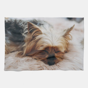 Niedliche Kleintiere Yorkshire Terrier Geschirrtuch