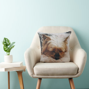 Niedliche Kleintiere   Yorkshire Terrier Kissen
