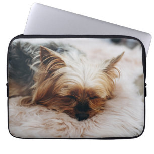 Niedliche Kleintiere   Yorkshire Terrier Laptopschutzhülle