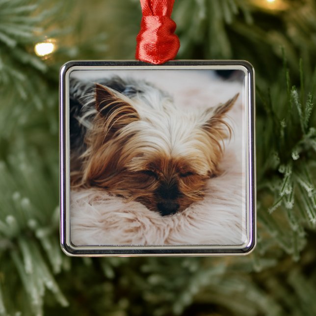 Niedliche Kleintiere | Yorkshire Terrier Ornament Aus Metall (Baum)