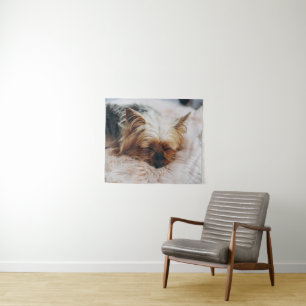 Niedliche Kleintiere Yorkshire Terrier Wandteppich
