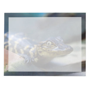 Niedliche Kleintiere Young Alligator Notizblock