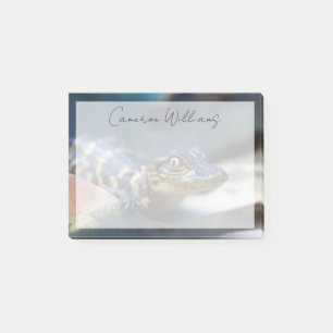 Niedliche Kleintiere   Young Alligator Post-it Klebezettel