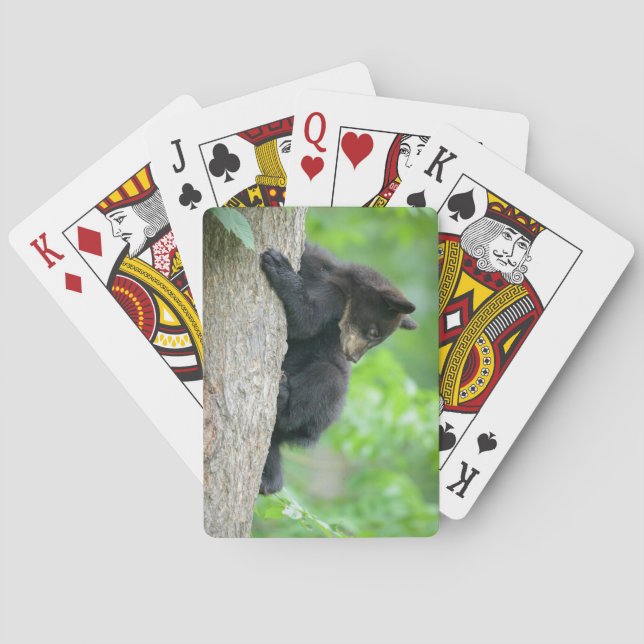 Niedliche Kleintiere | Young Black Bar Cub Spielkarten (Rückseite)