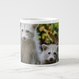 Niedliche Kleintiere   Young Blonde Raccoons Jumbo-Tasse