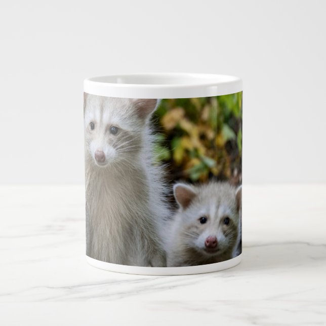 Niedliche Kleintiere | Young Blonde Raccoons Jumbo-Tasse (Vorderseite)