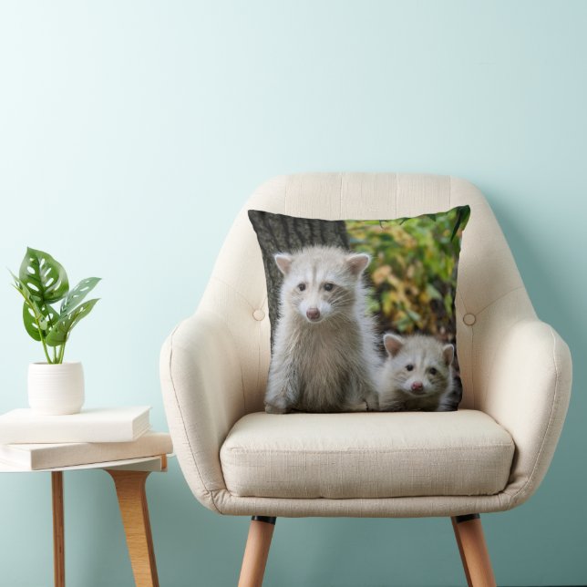 Niedliche Kleintiere | Young Blonde Raccoons Kissen (Stuhl )