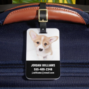 Niedliche Kleintiere   Young Corgi Puppy Gepäckanhänger