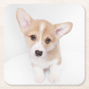 Niedliche Kleintiere Young Corgi Puppy Rechteckiger Pappuntersetzer