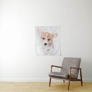 Niedliche Kleintiere Young Corgi Puppy Wandteppich