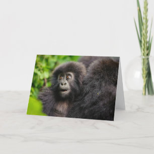 Niedliche Kleintiere   Young Mountain Gorilla Karte