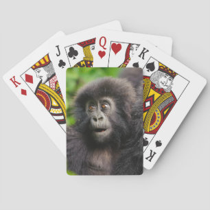 Niedliche Kleintiere   Young Mountain Gorilla Spielkarten