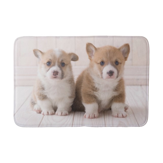 Niedliche Kleintiere | Zwei Baby Corgis sitzen Badematte (Vorderseite)