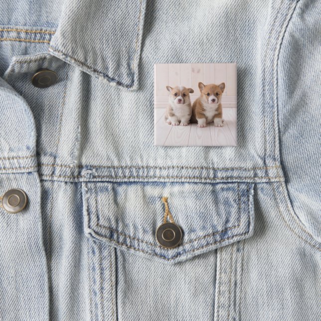 Niedliche Kleintiere | Zwei Baby Corgis sitzen Button (Beispiel)