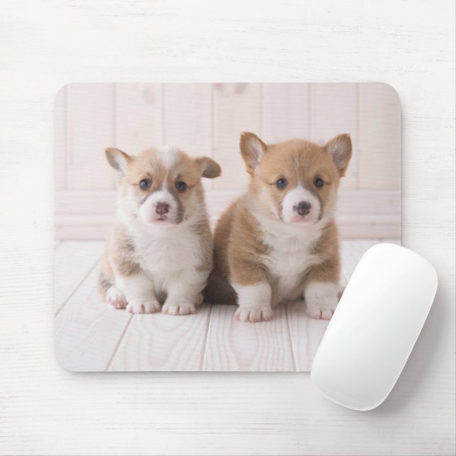 Niedliche Kleintiere | Zwei Baby Corgis sitzen Mousepad (Mit Mouse)