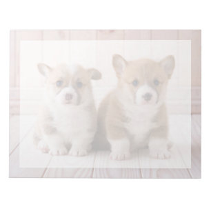 Niedliche Kleintiere Zwei Baby Corgis sitzen Notizblock