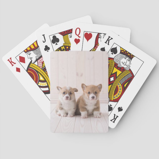 Niedliche Kleintiere | Zwei Baby Corgis sitzen Spielkarten (Rückseite)