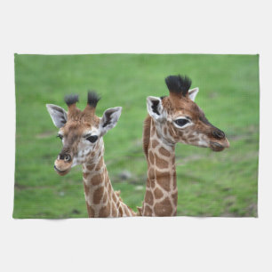 Niedliche Kleintiere Zwei Baby-Giraffen Geschirrtuch