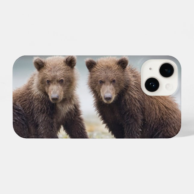 Niedliche Kleintiere | Zwei Bärenkuppen iPhone 14 Hülle (Rückseite (Horizontal))