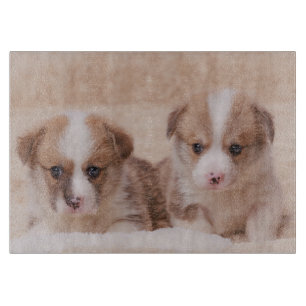 Niedliche Kleintiere Zwei Corgi Welpen Schneidebrett