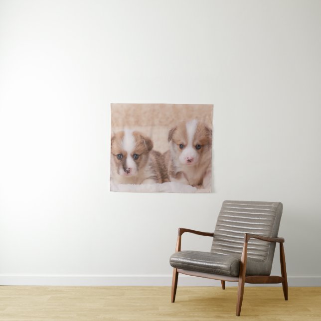 Niedliche Kleintiere | Zwei Corgi Welpen Wandteppich (Beispiel (Horizontal))